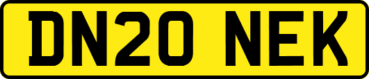 DN20NEK