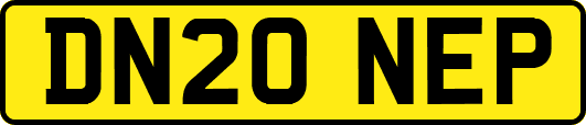 DN20NEP