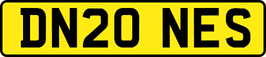 DN20NES