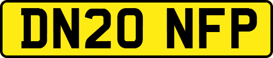DN20NFP