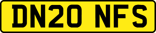 DN20NFS