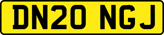 DN20NGJ
