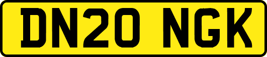 DN20NGK