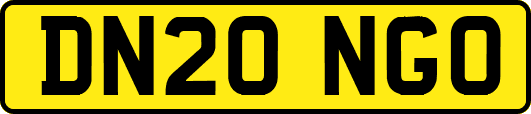 DN20NGO