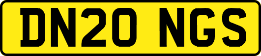 DN20NGS