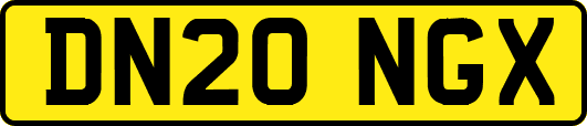 DN20NGX