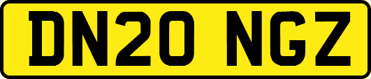 DN20NGZ