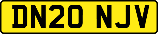 DN20NJV