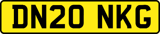 DN20NKG