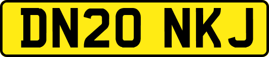 DN20NKJ