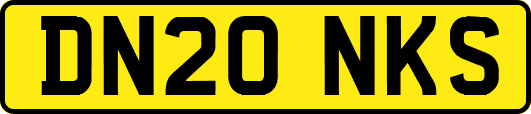 DN20NKS