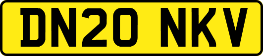 DN20NKV