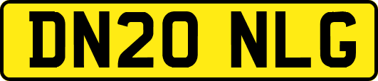 DN20NLG