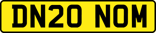 DN20NOM