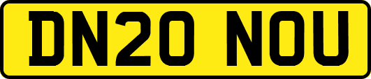 DN20NOU
