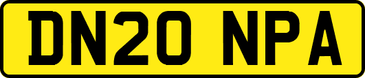 DN20NPA