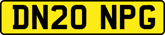 DN20NPG