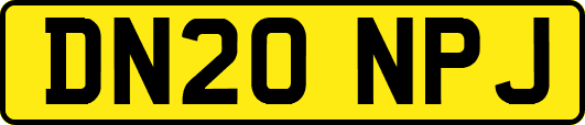DN20NPJ