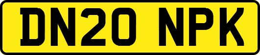 DN20NPK