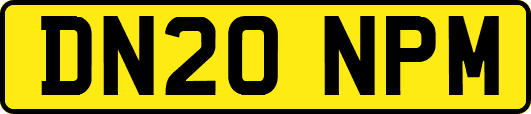 DN20NPM