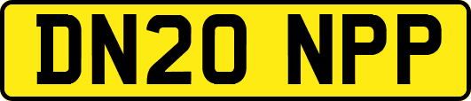 DN20NPP
