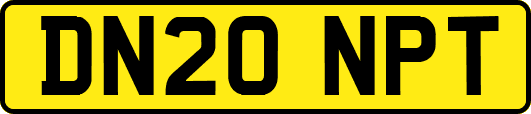 DN20NPT