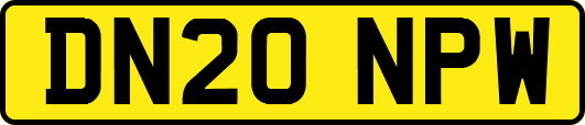 DN20NPW