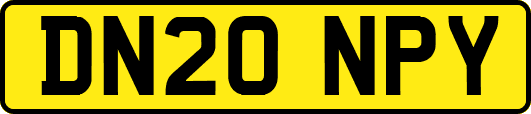 DN20NPY
