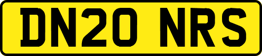 DN20NRS