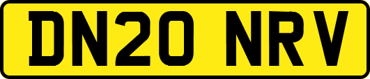 DN20NRV