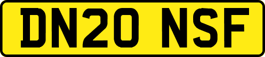 DN20NSF