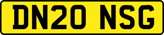 DN20NSG