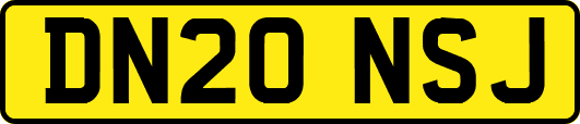 DN20NSJ