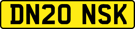 DN20NSK