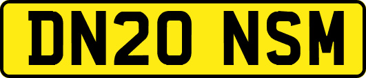 DN20NSM
