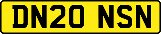 DN20NSN