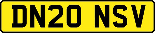 DN20NSV