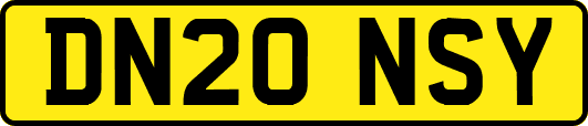 DN20NSY