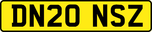 DN20NSZ