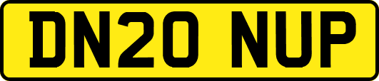 DN20NUP