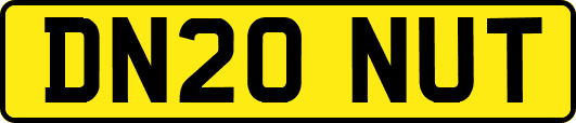DN20NUT