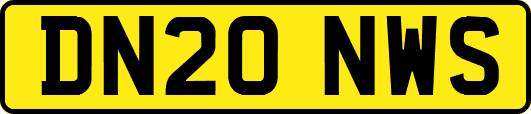 DN20NWS