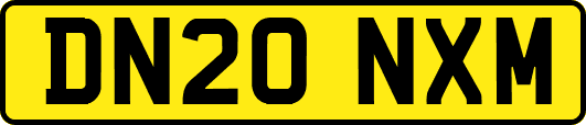 DN20NXM