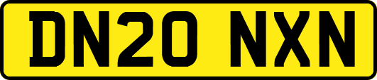 DN20NXN