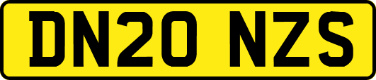 DN20NZS