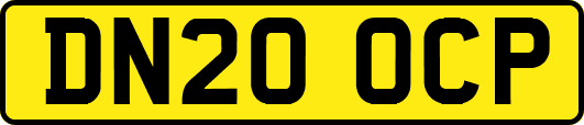 DN20OCP