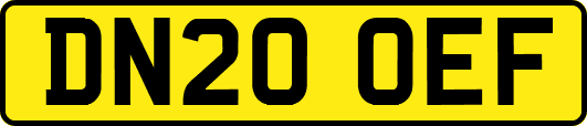 DN20OEF