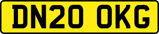 DN20OKG