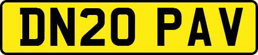 DN20PAV