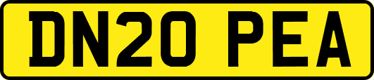 DN20PEA